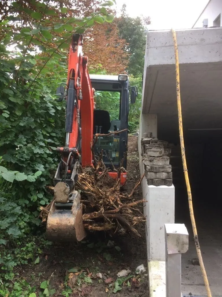 Minibagger transportiert Wurzelwerk am Hang ab